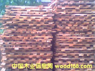 �c���鿴��ľ��ķŴ�DƬ