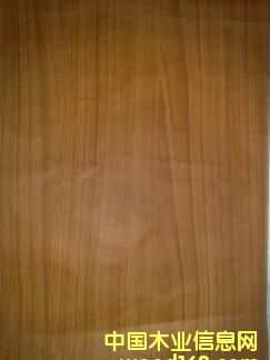 �c(di��n)���鿴ľ�y���Ŵ�DƬ