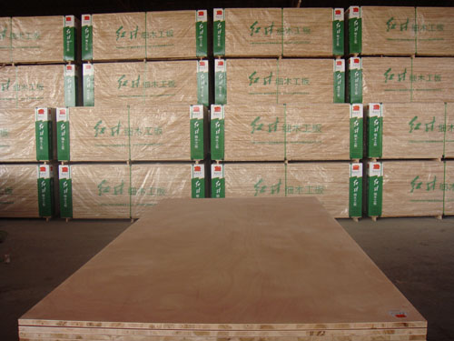 �c(di��n)���鿴��(x��)ľ����Ŵ�DƬ