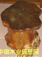 �c(di��n)���鿴��ľ���ɲŷŴ�DƬ