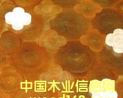 �c(di��n)���鿴��ľ���ɲŷŴ�DƬ