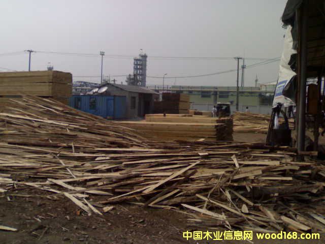 ݗ���ɡ������m.ݗ�����������ɡ����~�ɵ�Ԕ��(x��)��B