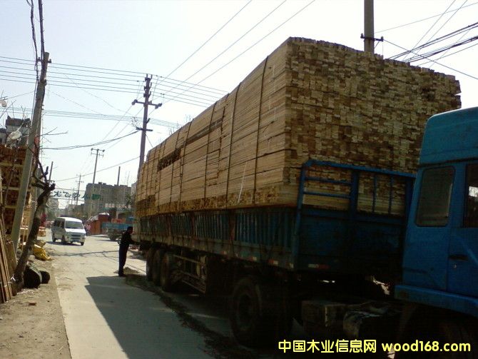 �c���鿴ɼľ�Ŵ�DƬ