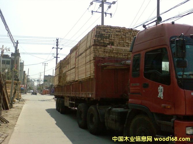 �c���鿴ɼľ���Ŵ�DƬ