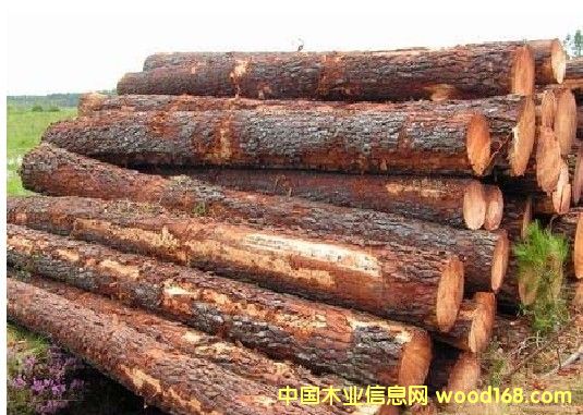 ���������ɵ�Ԕ��(x��)��B