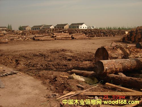 �K��ľ���Ј�