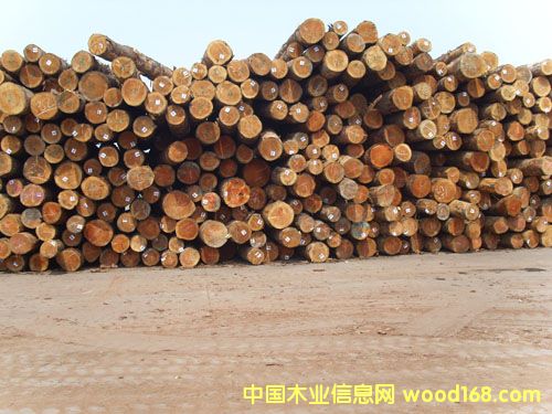 ������ԭľ