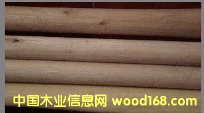 �c���鿴ľ�@����怰�1�Ŵ�DƬ