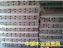 �c���鿴�@�ѷŴ�DƬ