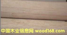 �c���鿴ľ�@�ѣ�怰ѷŴ�DƬ