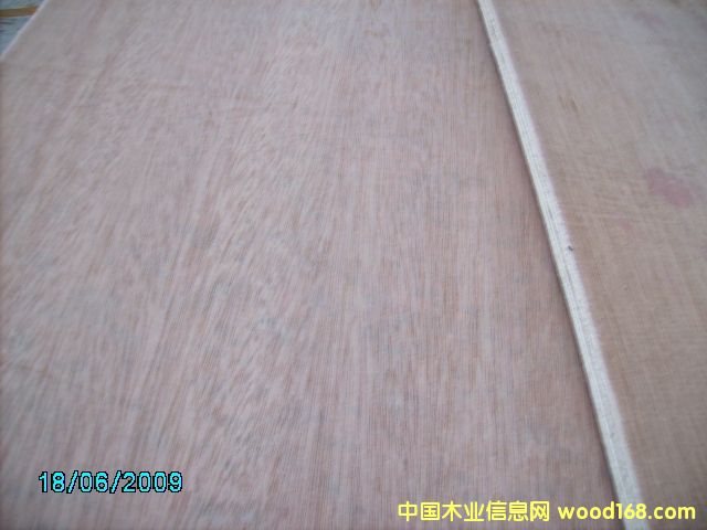 �c(di��n)���鿴5-18����Ӱ�Ŵ�DƬ