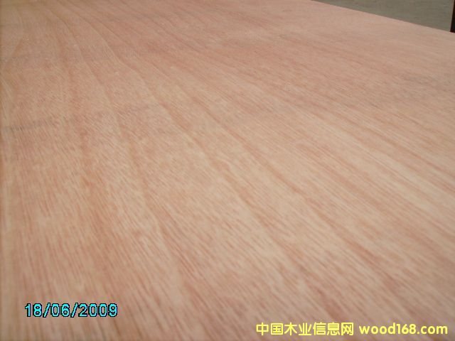 �c(di��n)���鿴5-18����Ӱ�Ŵ�DƬ