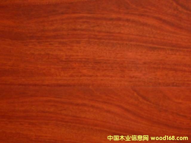 �c(di��n)���鿴��ȫ���ƻվ��h(hu��n)��ϵ�еذ�Ŵ�DƬ