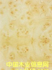 �LӰ��Ԕ����B