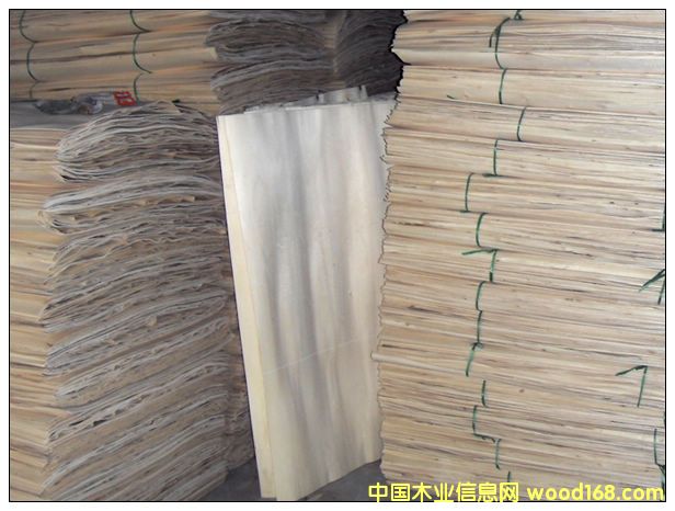 �c���鿴��ľƤ�Ŵ�DƬ