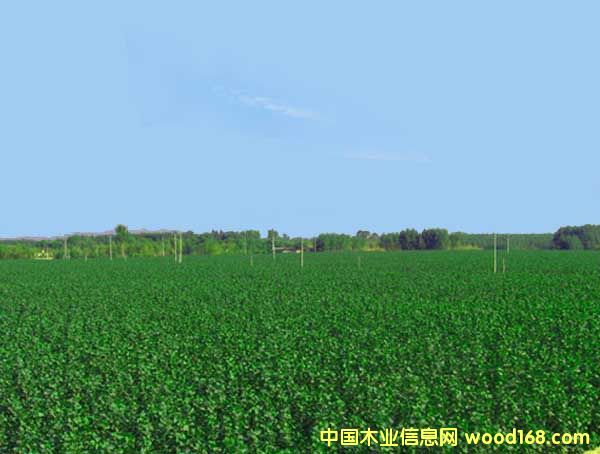 �c(di��n)���鿴������Ŵ�DƬ