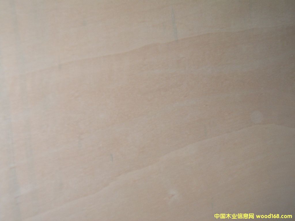 �c���鿴��ľ�Ŵ�DƬ