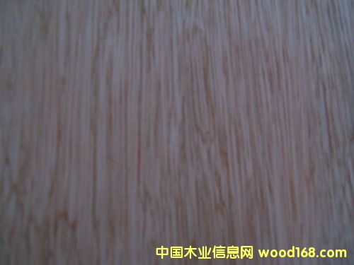 �c���鿴���ǹ��Ŵ�DƬ