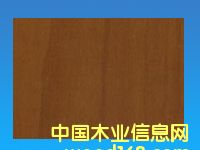 �c���鿴���ܶȰ�Ŵ�DƬ