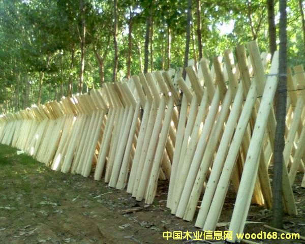 �c(di��n)���鿴2.6����Ƥ�Ŵ�DƬ