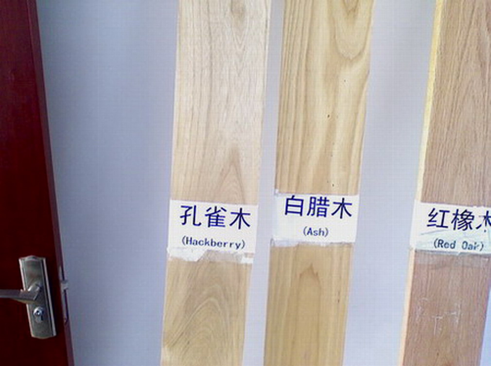 ������ľ��Ԕ����B