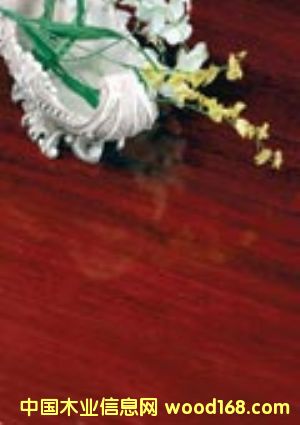 ӡ��ľ��Ԕ��(x��)��B