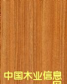 �����߼��ͻ�壨����壩��Ԕ����B