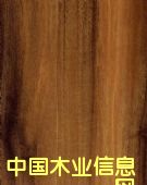 �����߼��ͻ�壨����壩��Ԕ����B