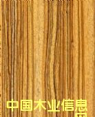 2846���Rľ��Ԕ����B