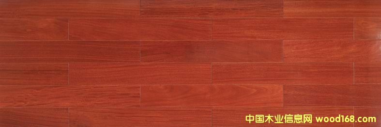 �t̴���Ԕ����B