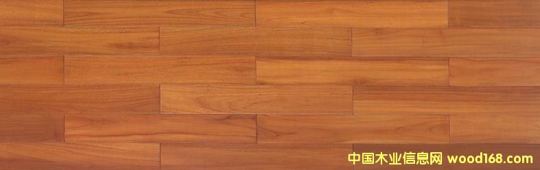 ��ľ��Ԕ����B