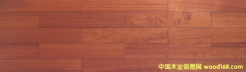 ��ľ��Ԕ����B