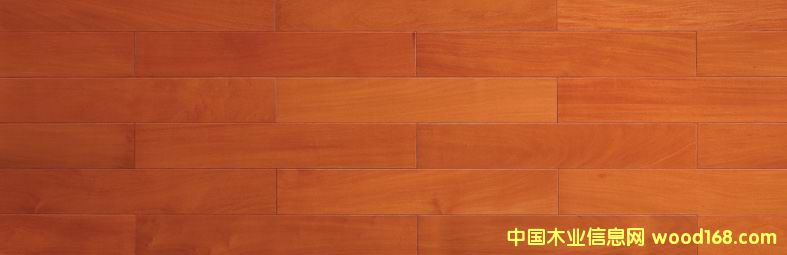 ��̴��Ԕ����B