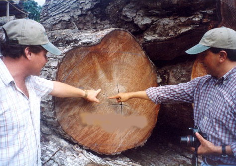 �W���M��ԭľ��Ԕ����B