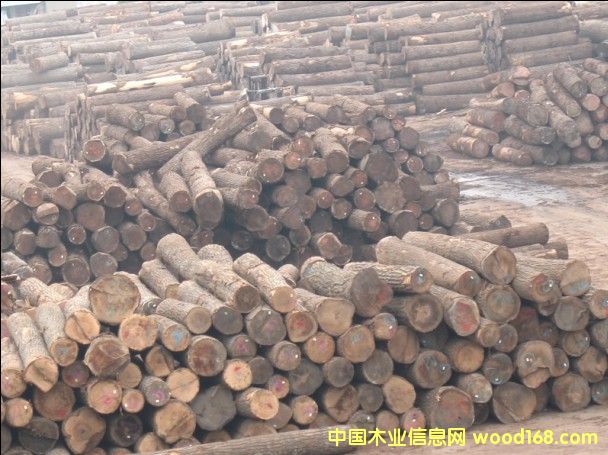 ԭľ��Ԕ��(x��)��B