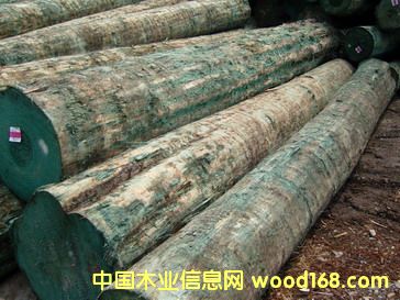 �o�Y(ji��)ݗ����ԭľ