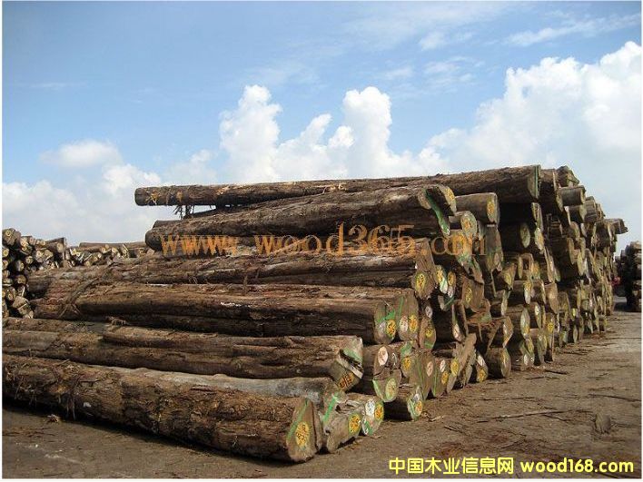 ������ľ��Ԕ��(x��)��B