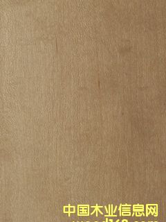 �c(di��n)���鿴����ľƤ�Ŵ�DƬ