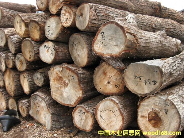 ԭľ��Ԕ��(x��)��B