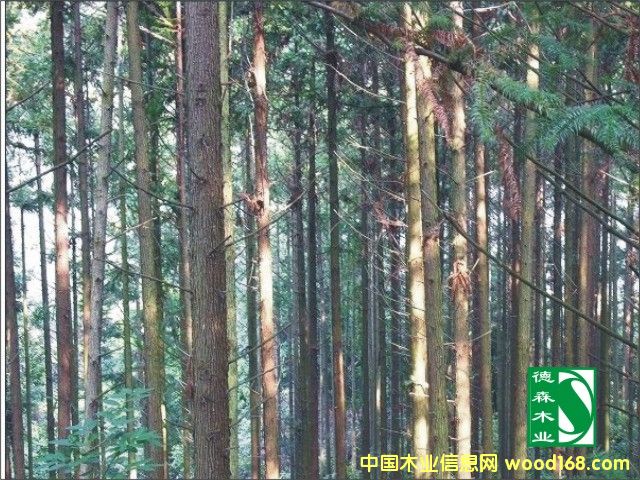 �c���鿴ɼľ�ֵ�Ԕ���Y��