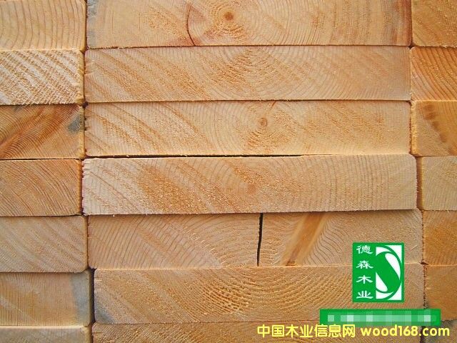 �c(di��n)���鿴��ľ��Ŵ�DƬ