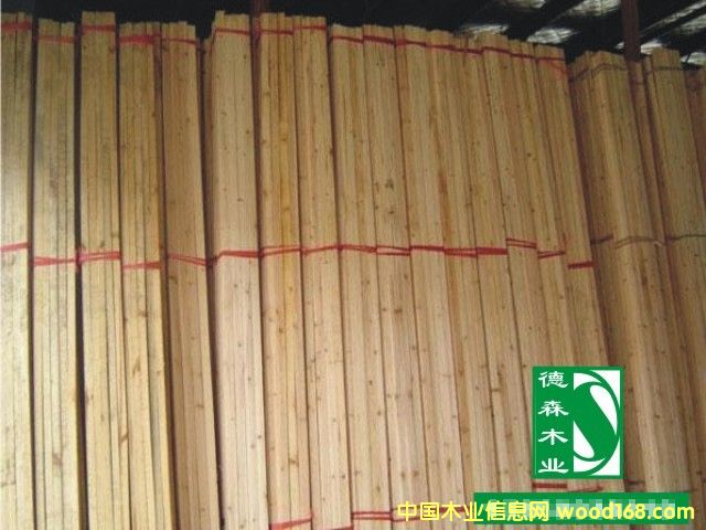 �c(di��n)���鿴ɼľ�l�Ŵ�DƬ