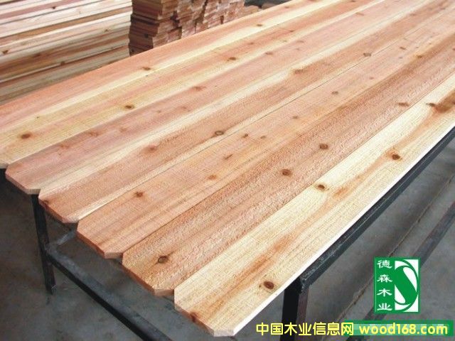 �c(di��n)���鿴ɼľ��Ŵ�DƬ