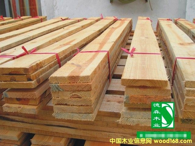 �c(di��n)���鿴��ľ��ķŴ�DƬ