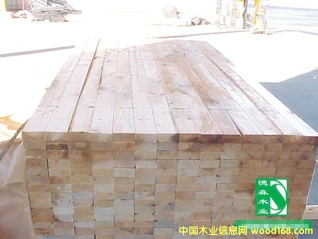 �c(di��n)���鿴��ľ���ϷŴ�DƬ