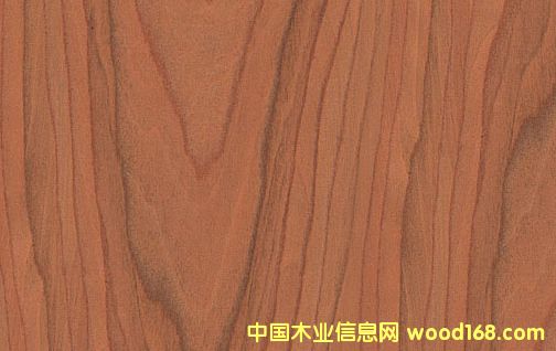 �c���鿴���ҷŴ�DƬ