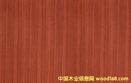 �c���鿴4�Ŵ�DƬ