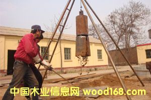 �c(di��n)���鿴���M(j��n)���ܵػ��򘶙C(j��)�Ŵ�DƬ