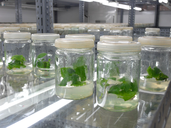 �c���鿴�M���s����ͩ�Ŵ�DƬ