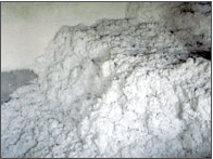 �c���鿴ľ�|(zh��)���w�S�Ŵ�DƬ